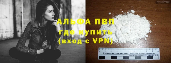 прущие крисы Новозыбков