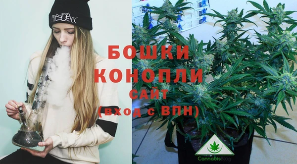 mdpv Новодвинск