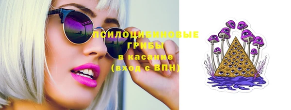mdpv Новодвинск
