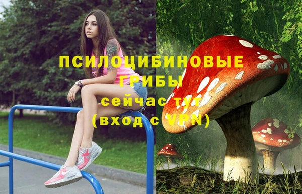 прущие крисы Новозыбков