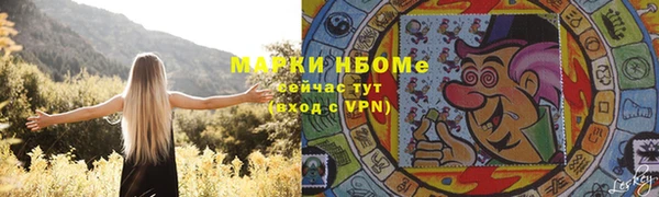 прущие крисы Новозыбков