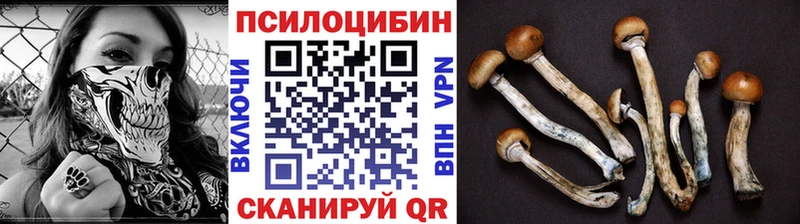 Галлюциногенные грибы мицелий  Купить где  Светлый 