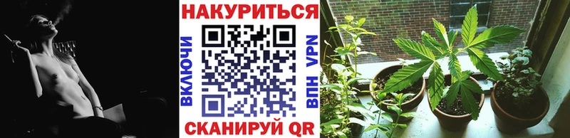 Конопля AK-47  Купить где  Светлый 